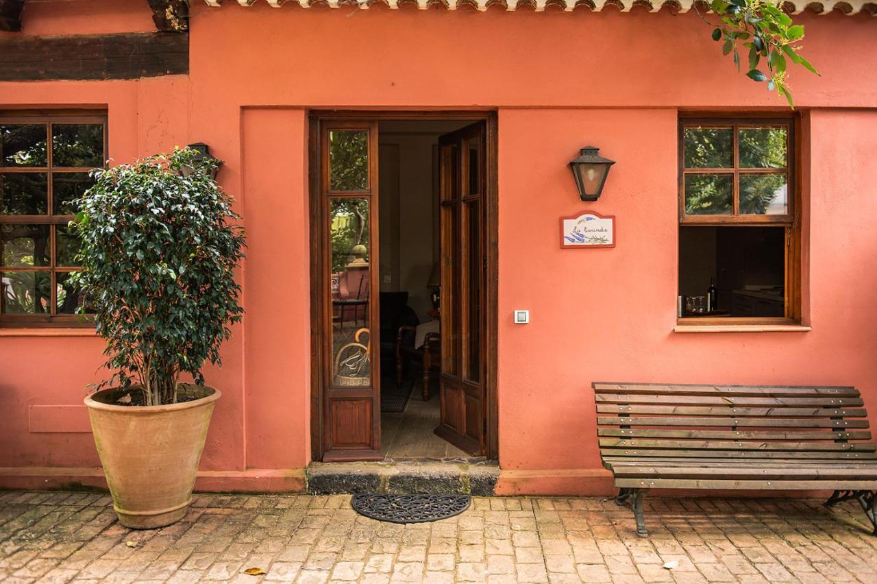 Homeforguest Cosy Rural Flat La Lavanda Surrounded By Nature Tacoronte Exterior photo